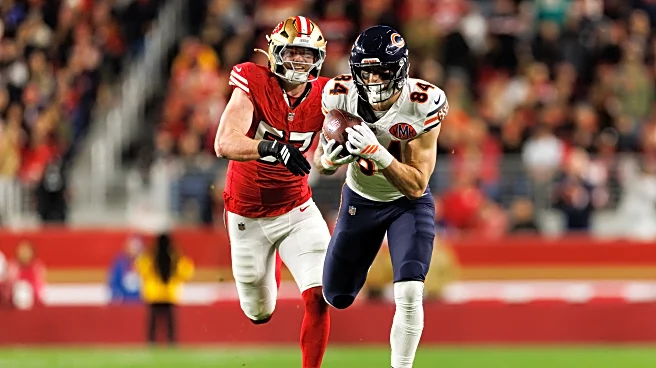 Bear & Balanced: Young Bears make a statement in San Francisco