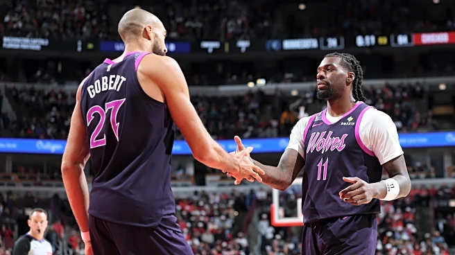 Timberwolves 136, Bulls 101: Big Jelly Buckets