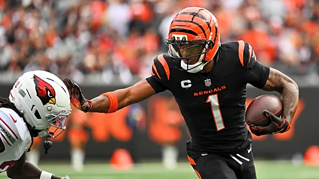 Ja’Marr Chase, Randy Moss stand alone with NFL record