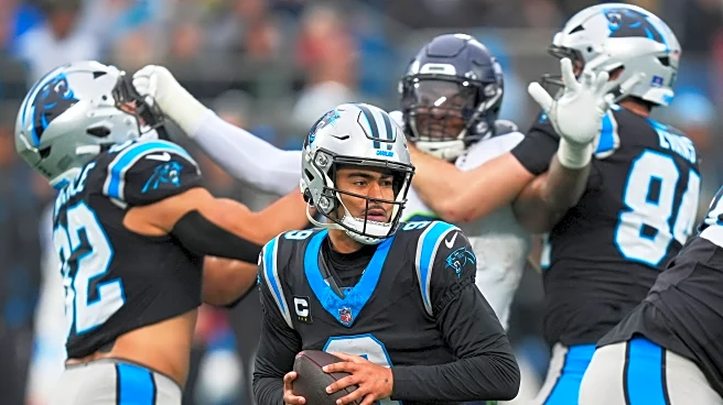 Panthers vs Seahawks game review: The blame game