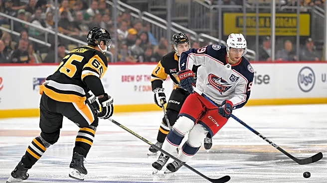 Chinakhov latest in Penguins quest for progressive upgrades