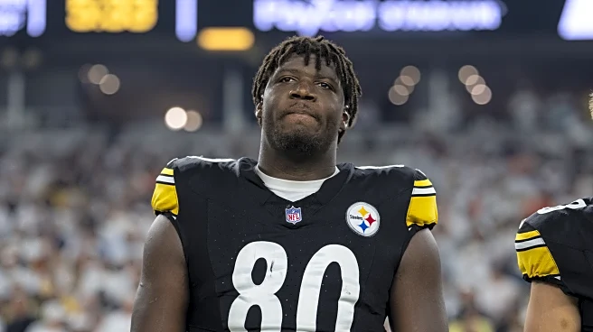 Darnell Washington undergoes surgery on broken arm