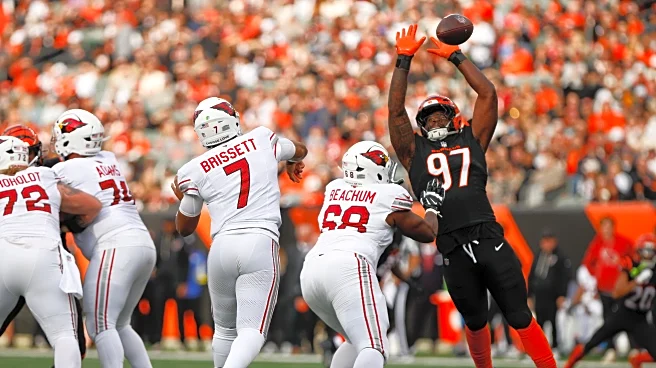 Bengals Rookie Report vs. Cardinals