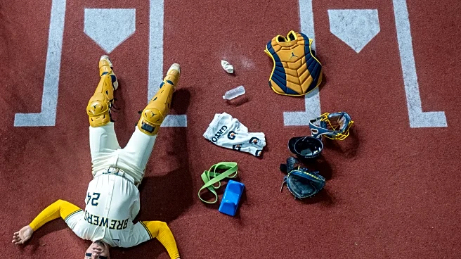 The Milwaukee Brewers New Years Resolutions