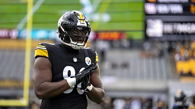 Steelers place Darnell Washington on season-ending IR