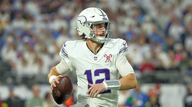 Minnesota Golden Gophers in the NFL: Week 17