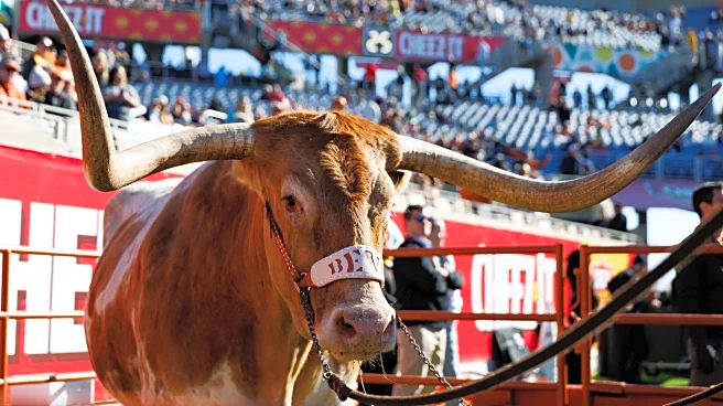 No. 13 Texas vs. No. 18 Michigan live updates: Horns take 3-0 lead over Wolverines