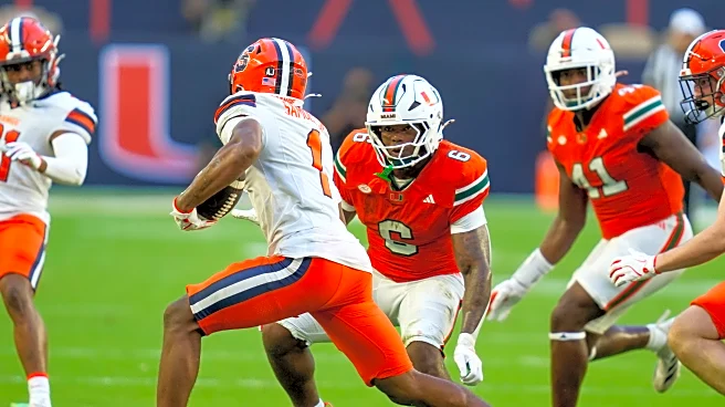 How have Badgers in the transfer portal fared elsewhere?