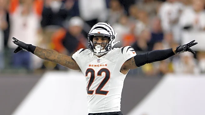 Bengals News (1/1): Players potentially playing their last game in Bengal stripes