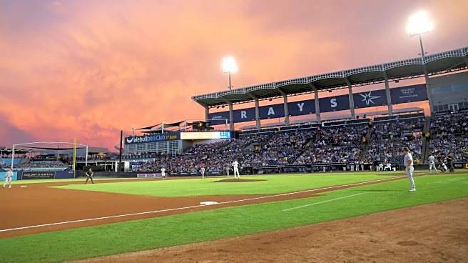 DRaysBay’s Top Ten Articles for 2025