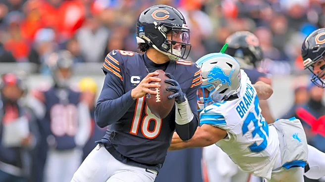 Bear Bones: Getting you ready for Bears vs Lions II