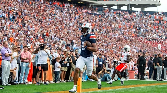 Kentucky Football QB Transfer Portal Big Board 1.0