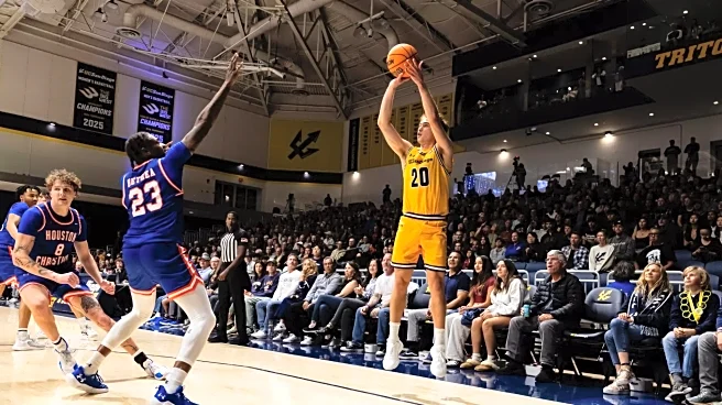 Clint Allard, Team Basketball, & the UC San Diego Tritons
