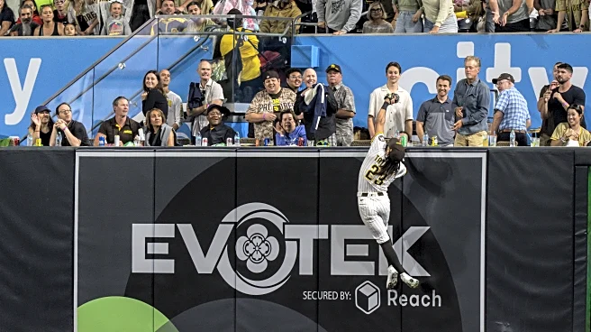 My Padres New Year’s resolutions