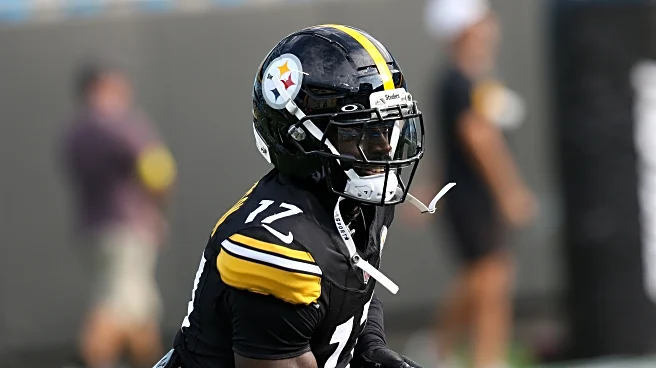 Steelers elevate DB for Week 18