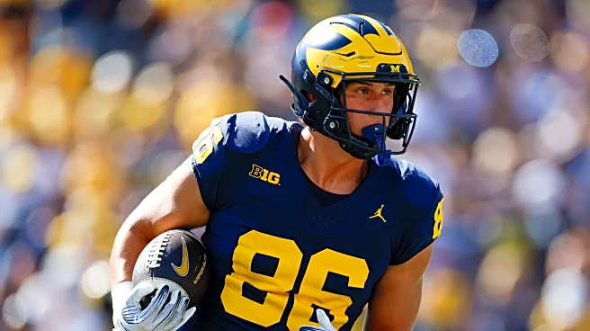 Michigan Football TE Brady Prieskorn enters transfer portal