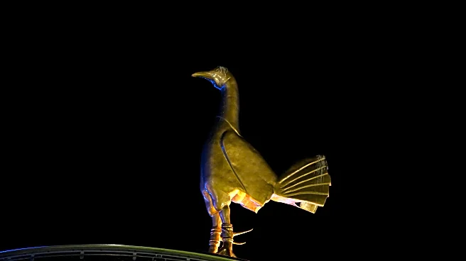 Match Preview: Tottenham Hotspur v Sunderland — The Lads Head to The Capital!