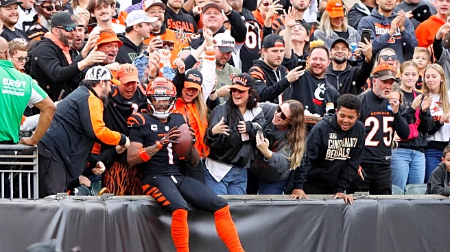 Cleveland Browns vs. Cincinnati Bengals: How to watch, TV schedule, history, betting odds and more