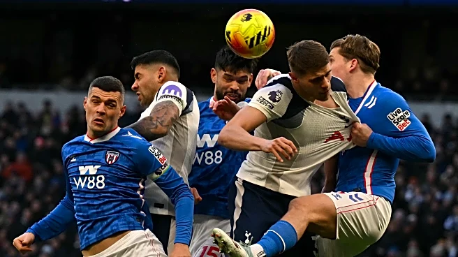 Tottenham Hotspur 1-1 Sunderland: Black Cats concoct comeback