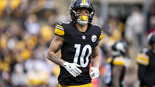 Steelers-Ravens inactives: Roman Wilson healthy scratch for Week 18