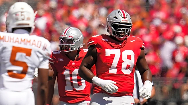Ohio State cannot afford another bargain bin transfer portal class