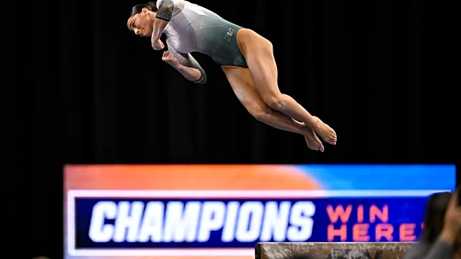 Spartan Sports Round Up