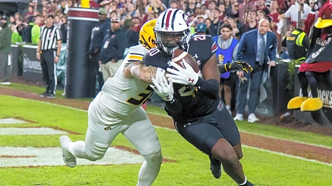 Syracuse football: Orange will add South Carolina transfer TE Michael Smith