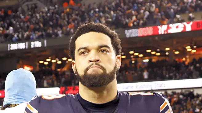 Bears vs Lions: Inside the Snap Counts, Stats, and an unsatisfying record