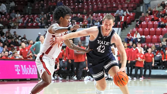 Sizing up each Ivy League team coming out of non-conference play