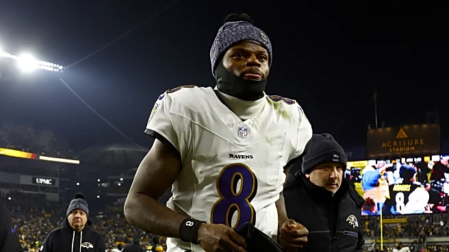 Baltimore Ravens Post-Week 18 Hangover Thread