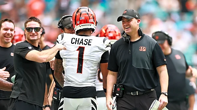 Zac Taylor plans to keep defensive coordinator Al Golden and rest of coaching staff