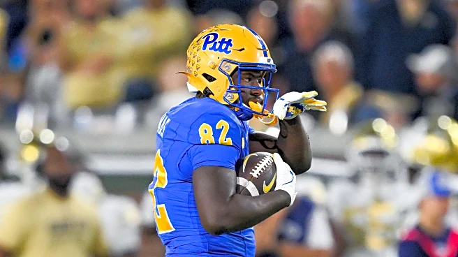 Tigers Add Three Skill Position Players Out of the Portal