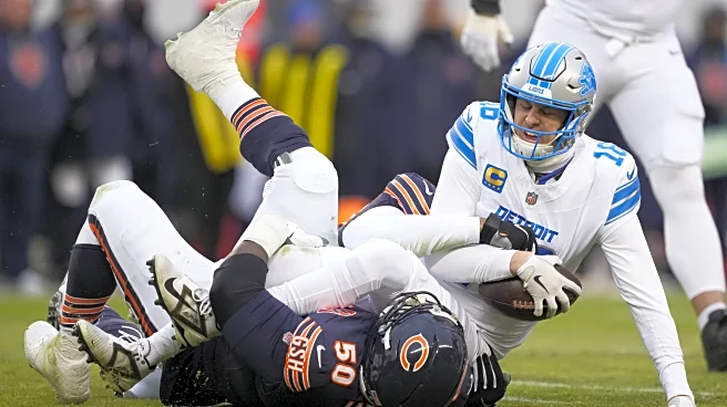 The Bear’s Den, January 6, 2025