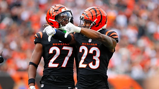 Year-end snap count takeaways for the Cincinnati Bengals