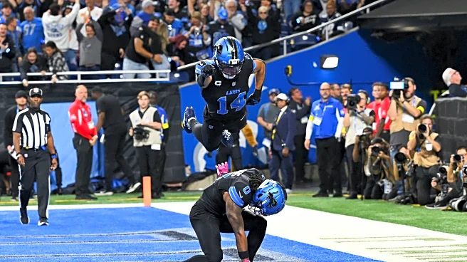Lions News: Local bakery makes another AWESOME life-sized Lions cake