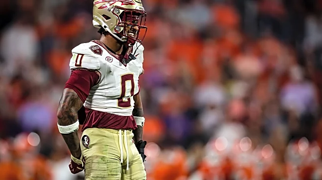 FSU safety Earl Little Jr. reverses course, enters transfer portal instead of NFL Draft