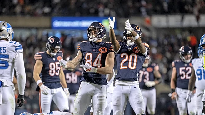 Bears-Lions: Stock up, stock down