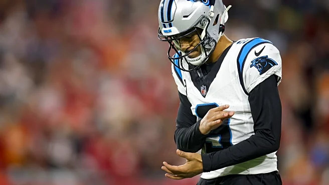 Panthers Reacts Postseason Survey