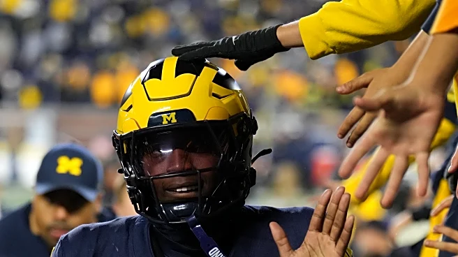 Michigan Football S Jordan Young enters transfer portal