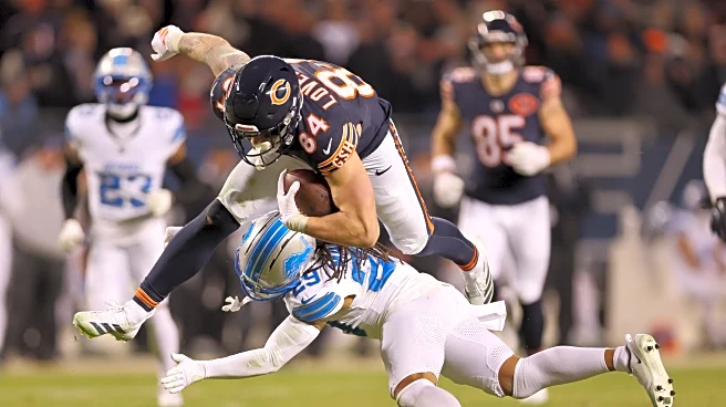 Wild Card Weekend Power Rankings Roundup for the Chicago Bears
