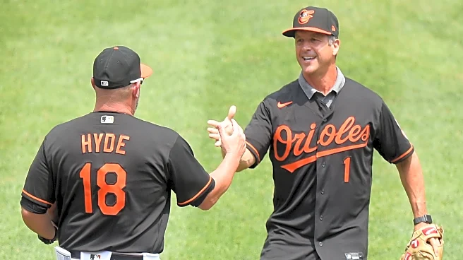 Wednesday Bird Droppings: A time of transition in Baltimore