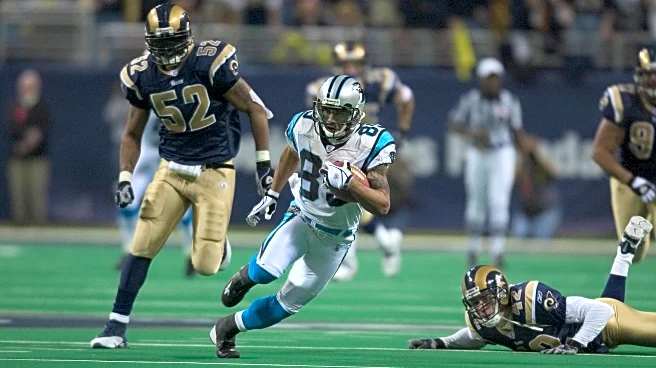 Panthers Playoffs History: X-Clown