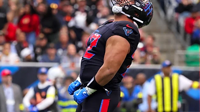 Texans Initial Analysis and Concerns Facing the Pittsburgh Steelers