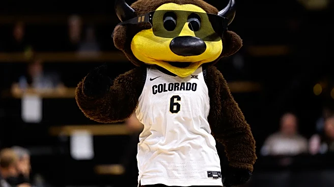 Colorado Buffaloes vs. Utah Utes – Game Post
