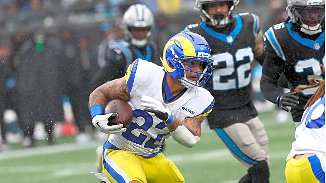 Who are the Carolina Panthers?