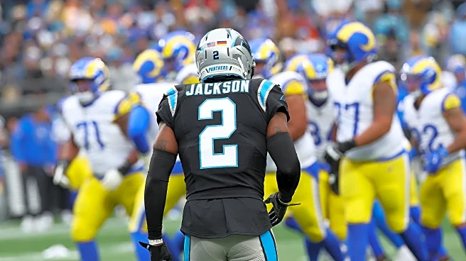 Panthers vs Rams NFC Wild Card Round: Defensive Preview