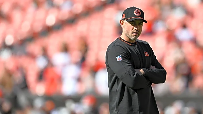 Bengals News (1/8): Dan Pitcher Watch