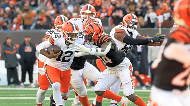 Bengals Rookie Report: Season Finale