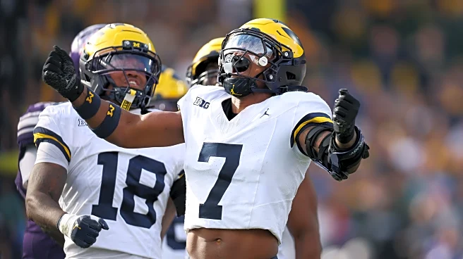 Michigan Football starting DB TJ Metcalf enters transfer portal