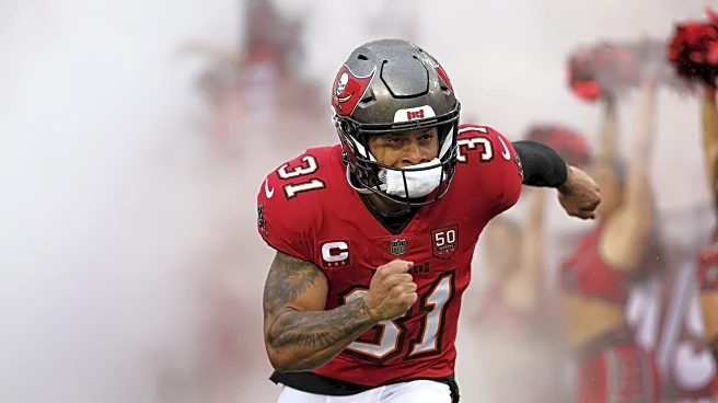 Minnesota Golden Gophers in the NFL: Week 18/ Season Review